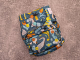 Double Dinos (LBB Ai3 cloth diapers)