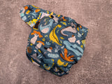 Double Dinos (LBB Ai3 cloth diapers)