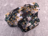 Pine Animals (LBB Ai3 cloth diapers)