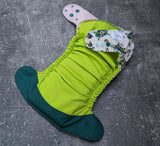 Fancy Turtles (LBB V2 cloth diapers)