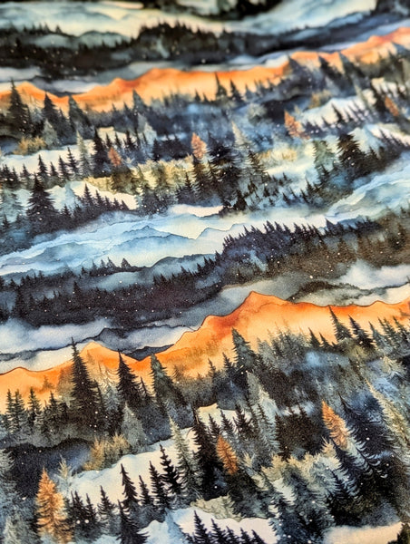 Pre-buy Winter Mountains Snug-a-Buns (LBB Cloth Diaper - extended wear diaper - Heavy wetter - Snug a Bun)