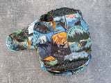 National Parks - LBB Ai3 & V2 cloth diaper - PUL - handdye OBV - handmade diaper - Pocket AiO cloth diaper