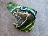 Moss Geode - Handdyed OBV Hybrid Fitteds - cloth diapers - bamboo hemp fleece soakers - Windpro Hybrids