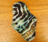 Luna Moth collection (Cloth Pads)