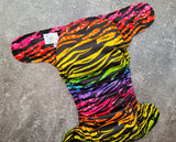 Tiger Rainbow (LBB Ai3v2)