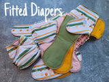 Axolotls coordination | OneSize Hybrid Fitteds | cloth diapers | Fitted diaper | squish diapers